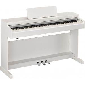 1558775728964-38.YDP163WH Y WITH BENCH.2.jpeg